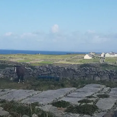 Aran Walkers Oda ve Kahvaltı *