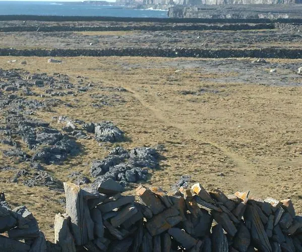 Aran Walkers Bed & Breakfast *