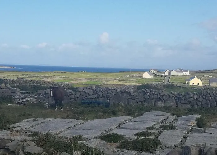 Aran Walkers Bed & Breakfast *